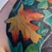 tattoo galleries/ -  black birds